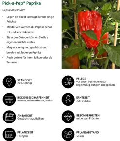 Pick-a-Pep® Paprika, rot