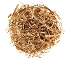 Pilzmännchen Bio Pilzzuchtset Austernpilz