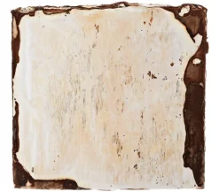 Pilzmännchen Bio Pilzzuchtset Shiitake-Myzelpatch