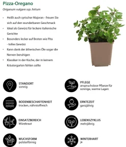 Pizza-Oregano