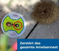 PROTECT HOME FormineX Ameisen-Köder Multi, 3 Stk.