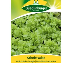 Quedlinberger Samen Schnittsalat 'Verde ricciolina da taglio'