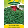 Quedlinburger Samen Gartenkresse 'Krause'