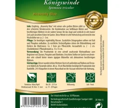 Quedlinburger Samen Königswinde 'Heavenly Blue'
