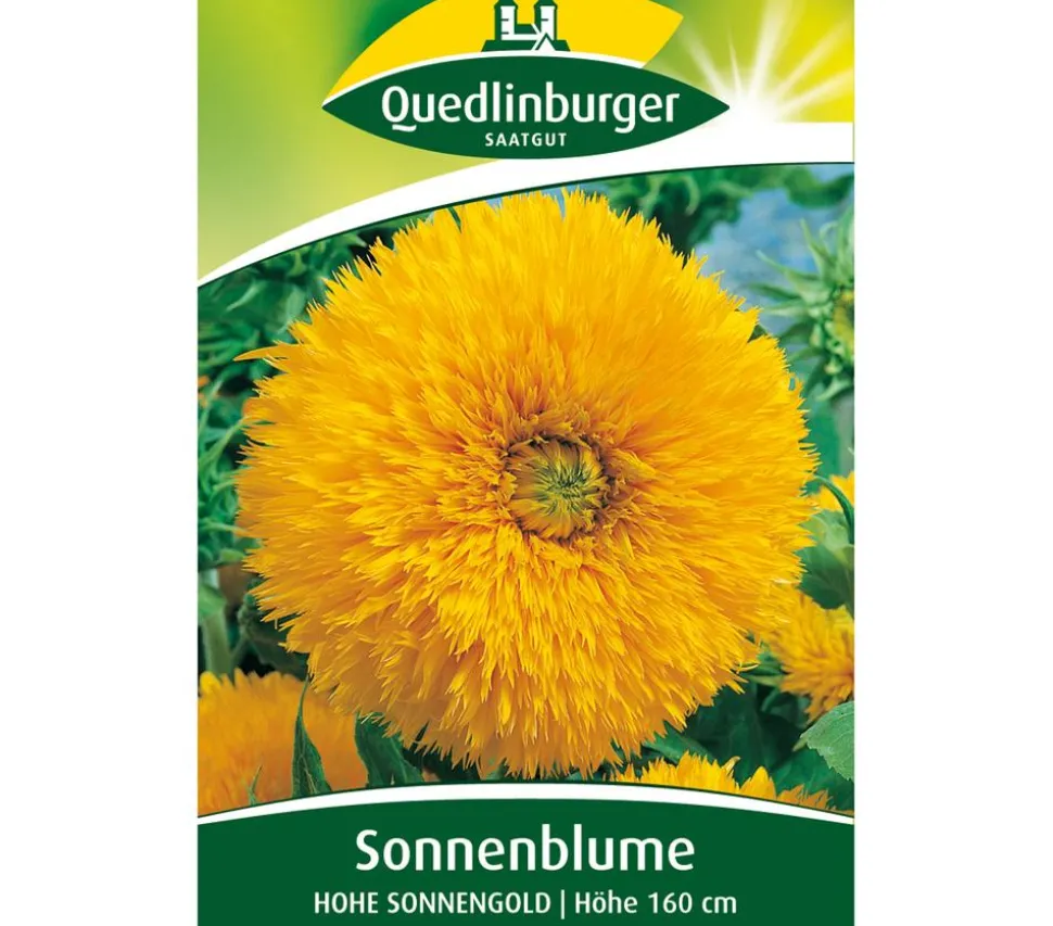 Quedlinburger Samen Sonnenblume 'Hohe Sonnengold'