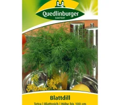 Quedlinburger Samen Dill 'Tetra'