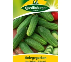 Quedlinburger Samen Einlegegurke 'Eva'