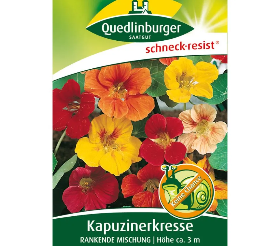 Quedlinburger Samen Kapuzinerkresse 'Rankende Mischung'