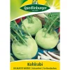 Quedlinburger Samen Kohlrabi 'Delikateß Weißer'
