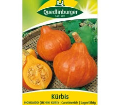 Quedlinburger Samen Kürbis 'Hokkaido'