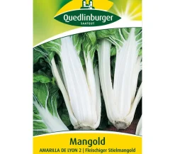 Quedlinburger Samen Mangold 'Amarilla De Lyon 2'
