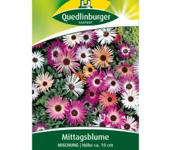 Quedlinburger Samen Mittagsblume 'Mischung'