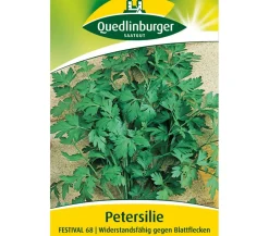 Quedlinburger Samen Petersilie 'Festival 68'
