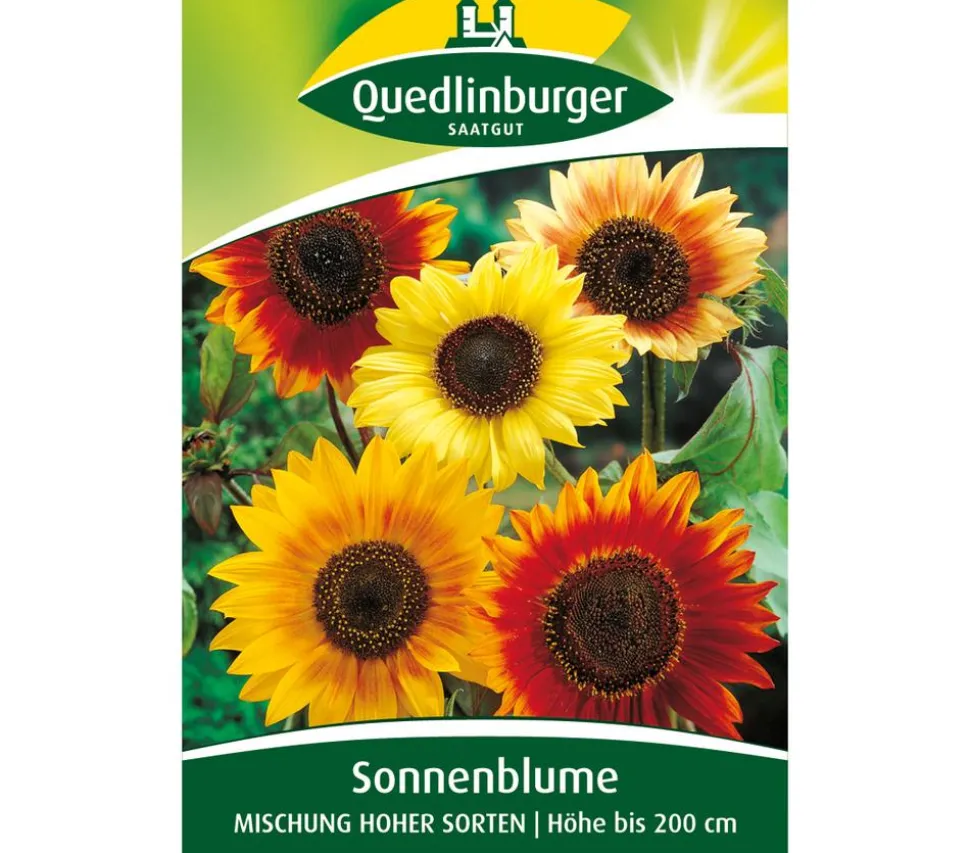 Quedlinburger Samen Sonnenblumen 'Mischung hoher Sorten'