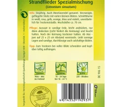 Quedlinburger Samen Strandflieder 'Spezialmischung'