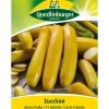 Quedlinburger Samen Zucchini 'Atena Polka'