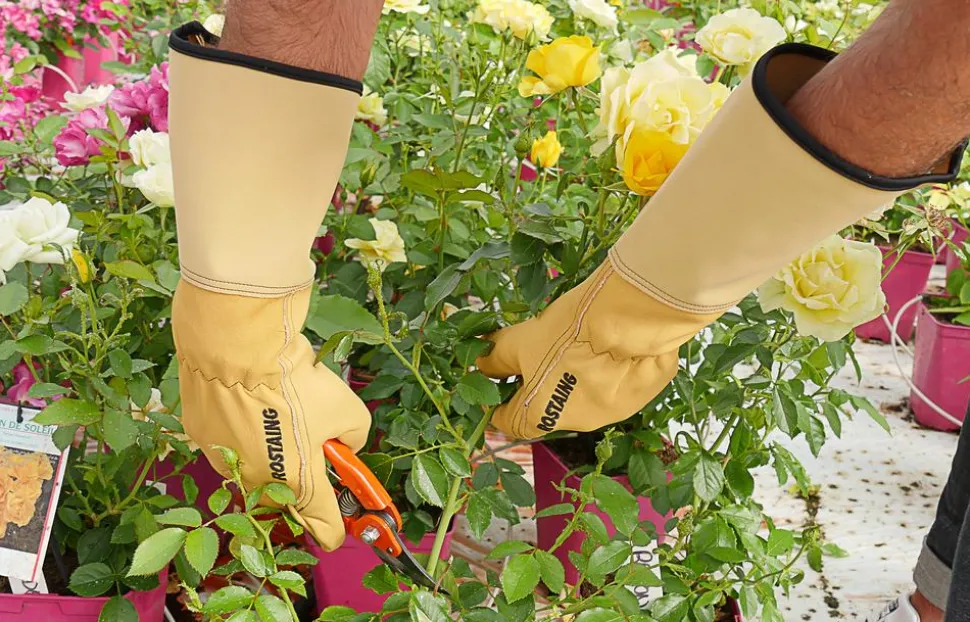 Rostaing Lederhandschuh Roseraie