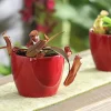 Rotblättrige Kannenpflanze - Nepenthes