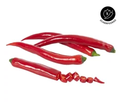 Rote Peperoni, scharf