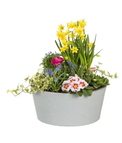 Scheurich Kunststoff-Topf C-Cone Bowl, rund, ca. Ø38,9/H17,5 cm