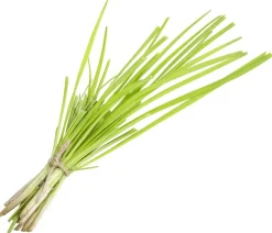 Schnittknoblauch