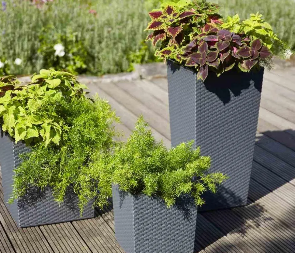 Siena Garden Kunststoff-Säule Eco Nizza, konisch, ca. B40/H75/T40 cm