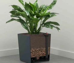Siena Garden Kunststoff-Topf Biron, eckig, ca. B40/H41,5/T40 cm