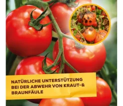 Solabiol® Grundstoff Lecithin Spray, flüssig, 1 l