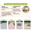 Solabiol® Grundstoff Acetum, flüssig, 3 l