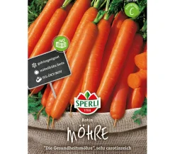 SPERLI Samen Möhre 'Rotin'