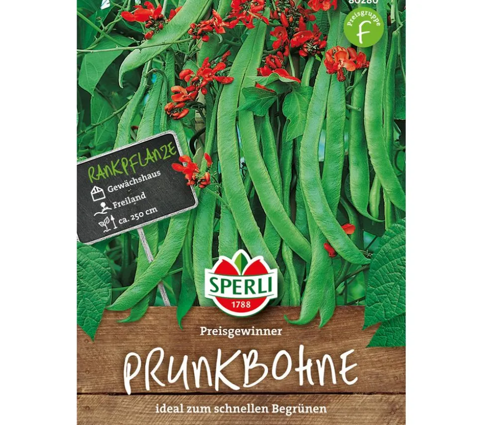 SPERLI Samen Prunkbohne 'Preisgewinner'