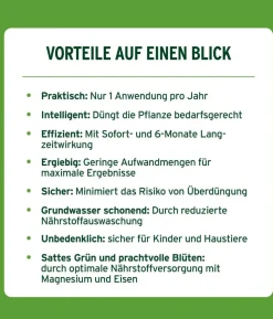 Substral® Langzeit Depotdünger Buchs & Hecken, 1,5 kg