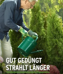Substral® Thuja-Vital, flüssig, 500 ml
