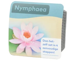 Teichpflanzen Komplett-Set Seerose, 6-teilig