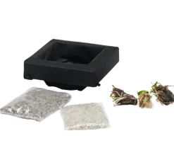 Teichpflanzen Komplett-Set Vielfalt, 6-teilig