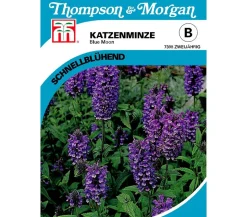 Thompson & Morgan Samen Katzenminze 'Blue Moon'