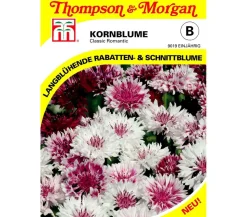 Thompson & Morgan Samen Kornblume 'Classic Romantic'
