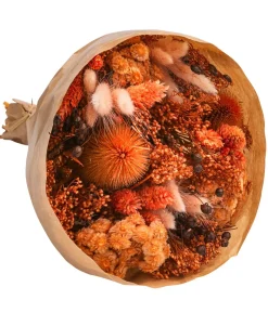 Trockenblumenbouquet Wow, terracotta