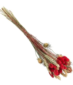 Trockenblumenbouquet Luna, rot
