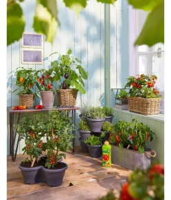 Van der Leeden Rattan-Pflanzkasten, graubraun