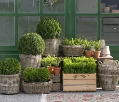 Van der Leeden Rattan-Topf Drypot, rund, grau