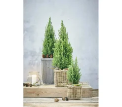 Van der Leeden Rattan-Topf, quadratisch, grau-braun