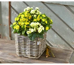 Van der Leeden Rattan-Topf, quadratisch, grau-braun