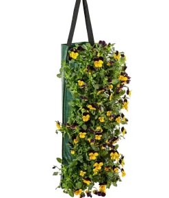 Wandhänger mit Hornveilchen, verschiedene Farben