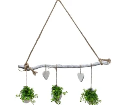 Wandhänger Herz mit Peperomie - Peperomia rotundifolia, weiß