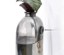 Waterplant-Set Wandhänger, 2-teilig