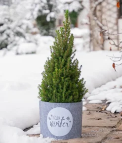 Windhager Deko-Filz-Topfschutz Hello Winter, grau/weiß