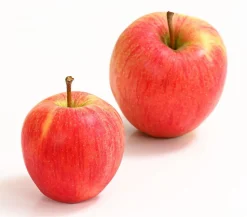 Winterapfel 'Pinova'