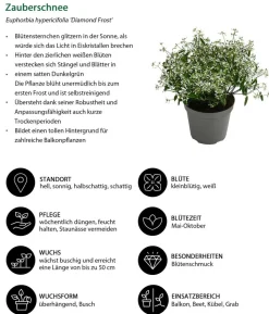 Zauberschnee 'Diamond Frost'